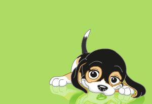 Kutya - animalt gif
